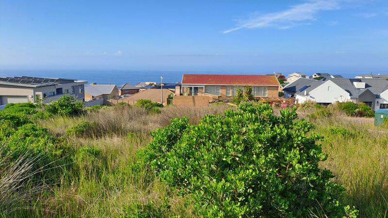 0 Bedroom Property for Sale in Jongensfontein Western Cape